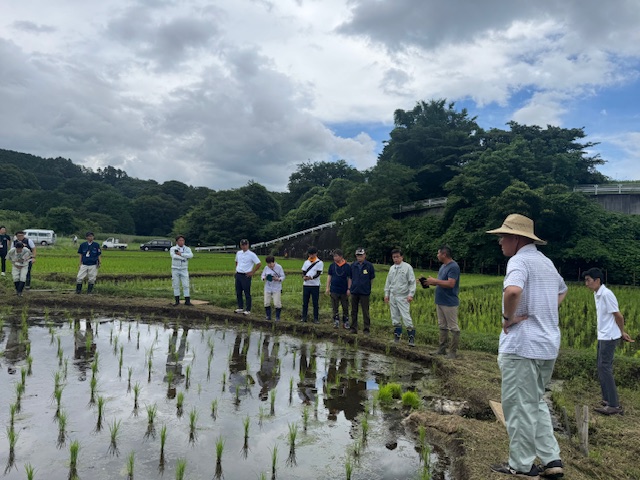 長靴を履いた多くの参加者が苗が植えられた水田の周りに集まり、水面に映る苗の生育状況を観察している、圃場視察の様子の写真