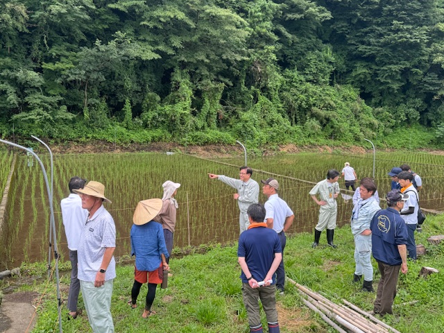 長靴を履いた大勢の関係関係者が水田の周りに集まり、右手を真っすぐ伸ばしている薄い緑色の作業着姿の市長の話を聞きながら水面に映る苗を観察している、圃場視察の様子の写真