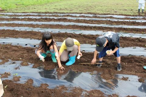 畑で3人の子どもたちがしゃがみ込み、土に触れたり棒を使って穴を掘ったりしながら、熱心に農作業を行っている様子の写真