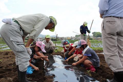 数人の子どもたちが畑に苗を植え付けており、しゃがんで様子を見守る男性の写真
