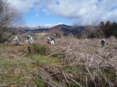 枯れ草の生い茂る広い農地で、ボランティアの参加者が草刈り機などを使って作業をしている写真