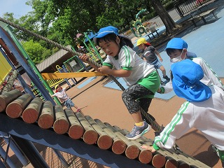 青い帽子と体操服を着用した園児たちが、木製の丸太とロープでできた遊具で遊んでおり、一人の女の子がロープをしっかり握って真剣な表情で丸太を上っている写真