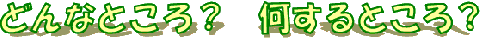 黄色と黄緑色の文字で「どんなところ？ 何するところ？」と書かれた、縁取りと影付きの画像