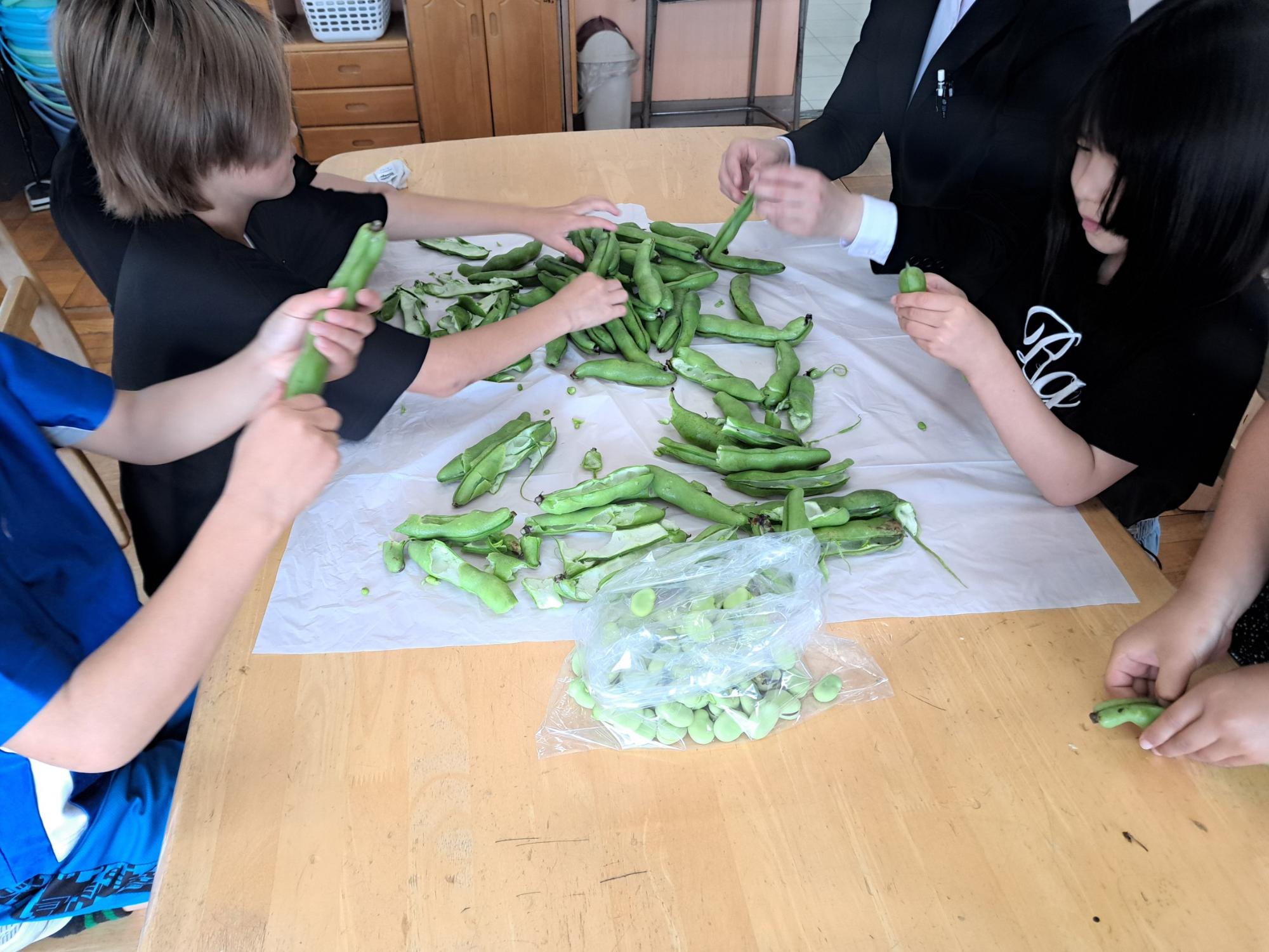 木製のテーブルの上に広げられたビニールシートの上で、数人の子どもたちが大人の指導のもと、大量に置かれたそら豆の莢をむいている様子の写真