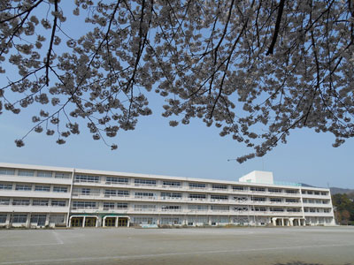 満開の桜の枝越しに撮影した、広い校庭の奥にある4階建てで横長の末広小学校校舎の写真