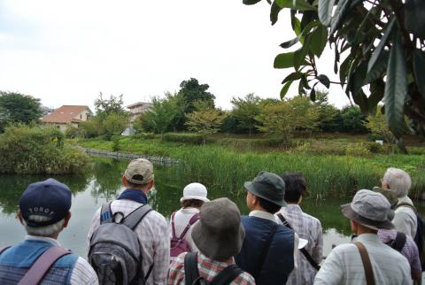 町並みを歩く（南地区）