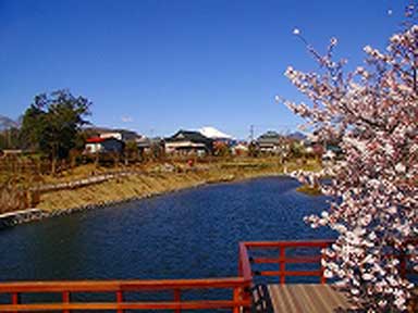 今泉名水桜公園（完成後）