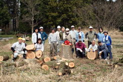 ボランティア活動くすの木の伐採
