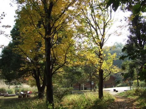 紅葉のくずはの家の写真