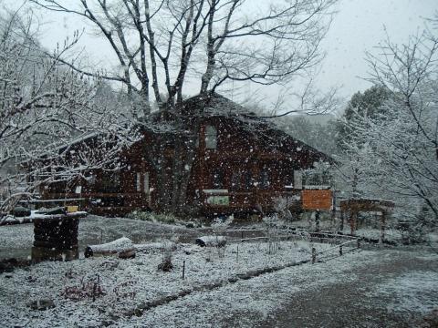 雪のくずはの家の写真