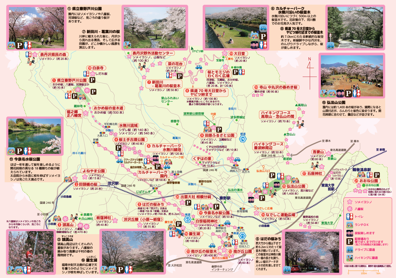 桜の名所マップ