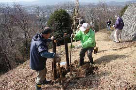 弘法山公園植樹の様子4