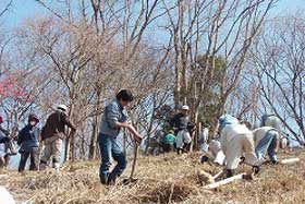 頭高山山頂周辺植樹の様子3