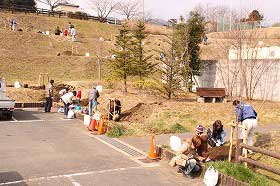 水無川鶯橋上流おかめ桜植樹の様子2