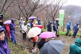 頭高山桜植樹式典の様子2