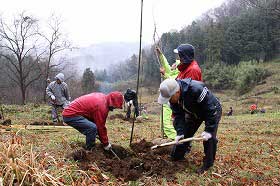 頭高山おかめ桜植樹の様子1