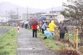 大根川植樹の様子