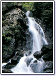 「F5・3段の滝」の写真