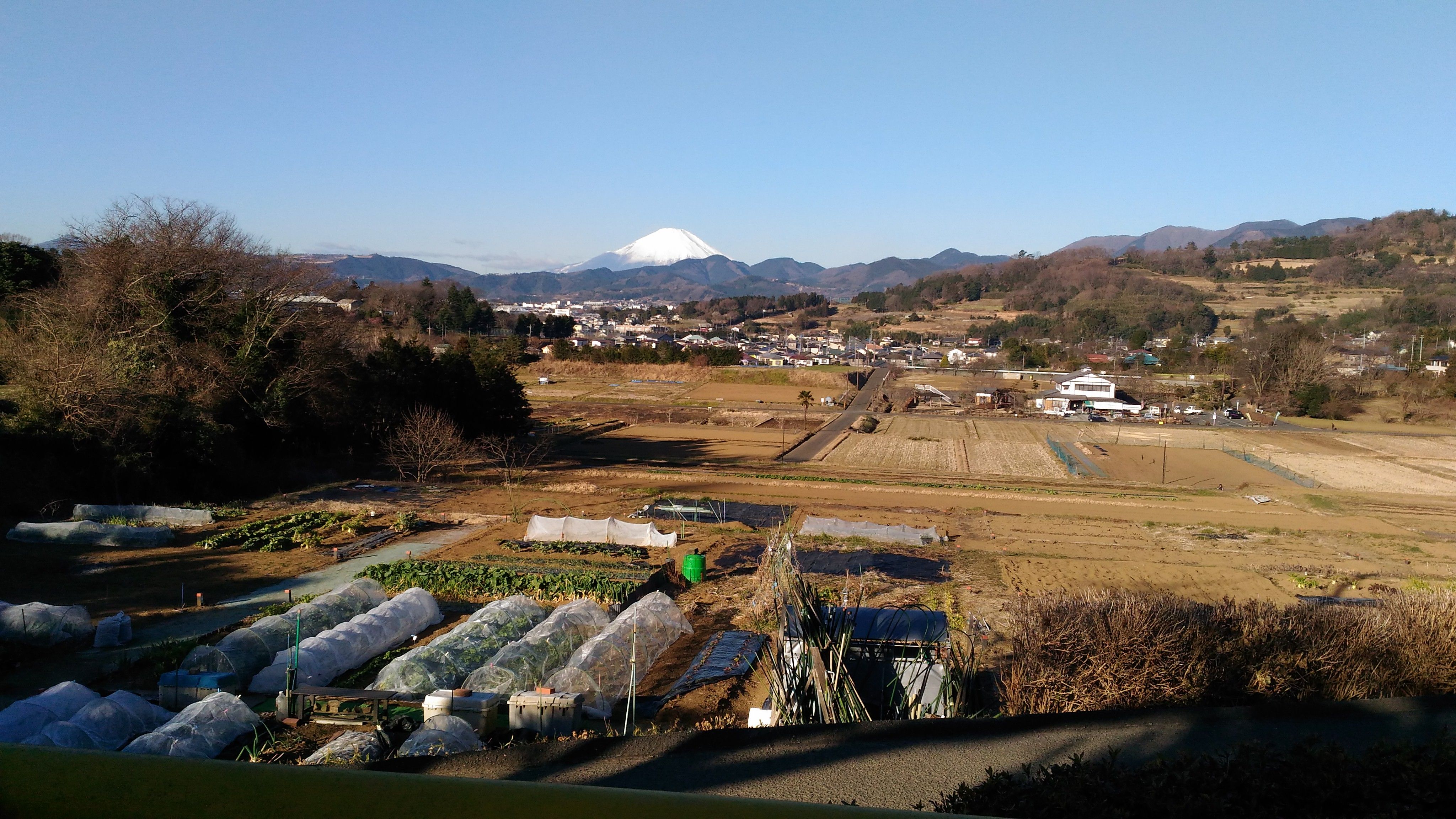 東田原ふれあい農園4