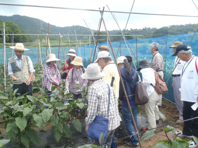 基礎セミナーコース（農業塾OB圃場見学）