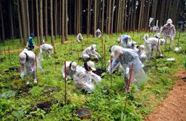 植樹会場の様子5