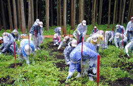 植樹会場の様子6