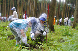 植樹会場の様子7