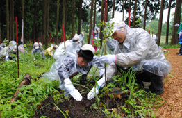 植樹会場の様子8