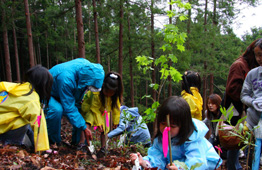 植樹祭の様子4