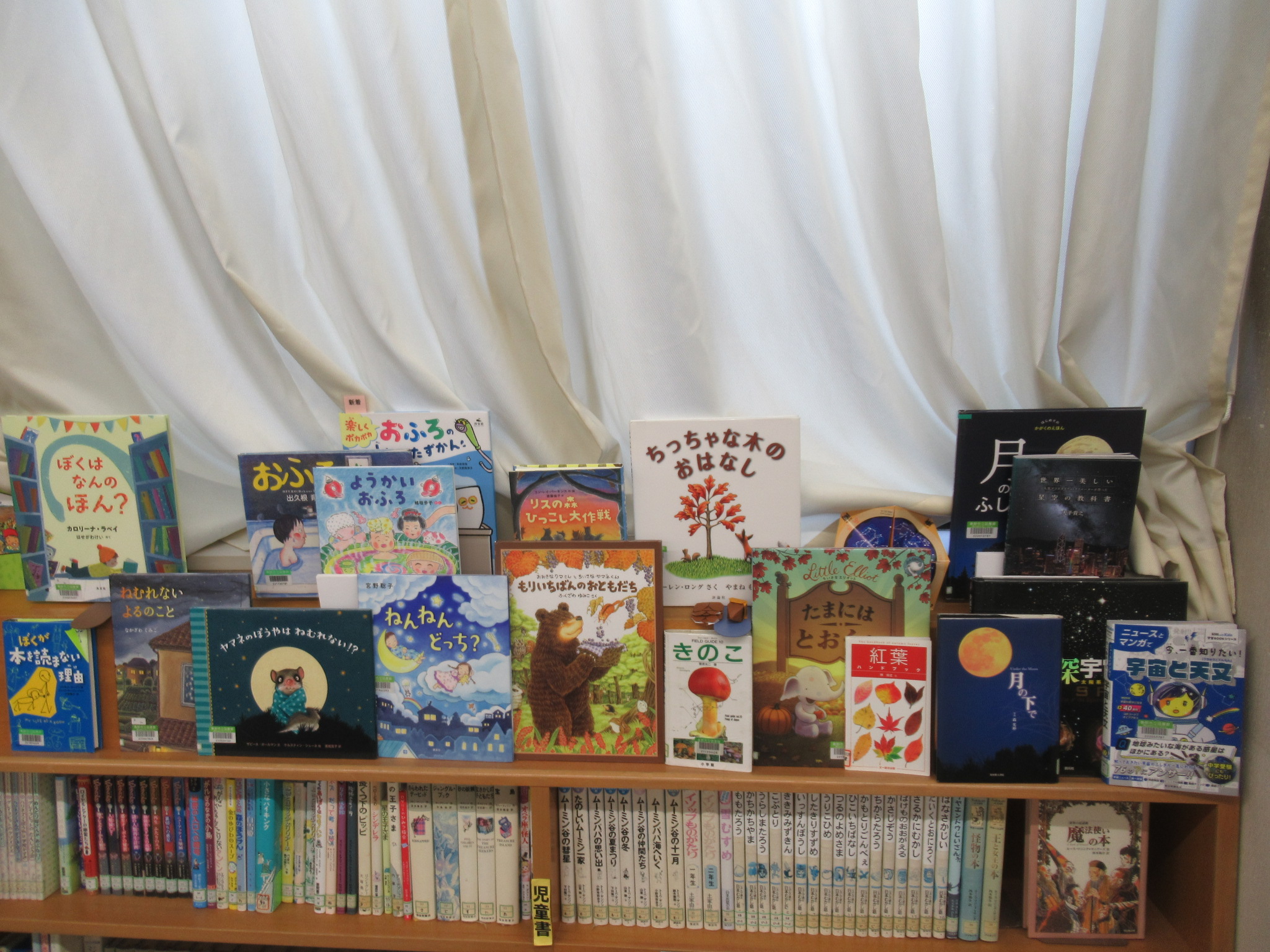 企画本コーナー