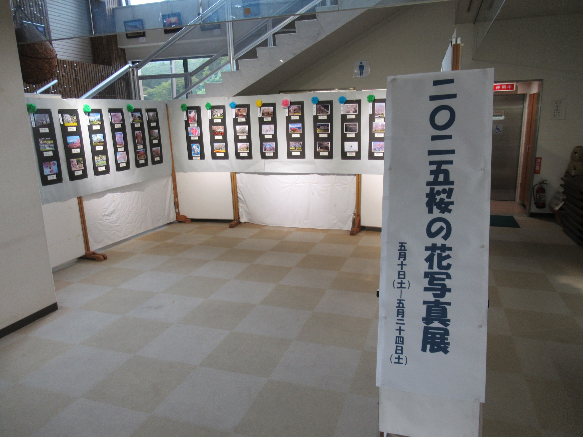 写真：桜の花写真展２