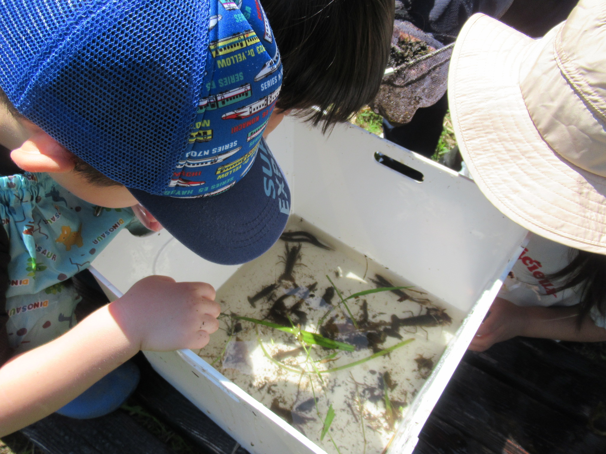 写真：生き物の里２