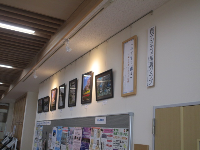 桜写真展3