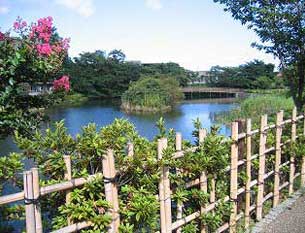 今泉名水桜公園