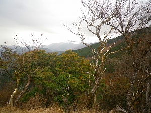 二ノ塔より遠望