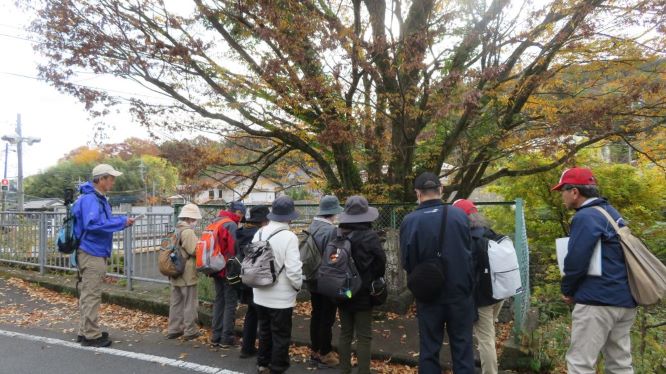 里山ハイキング写真1