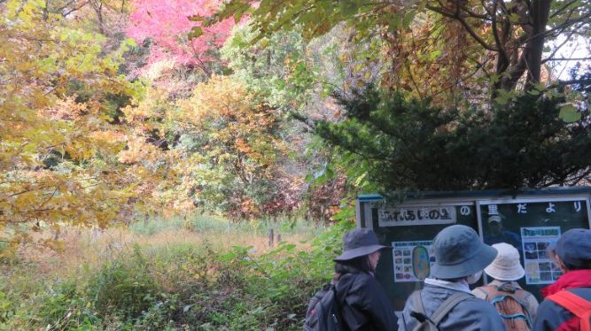 里山ハイキング写真2