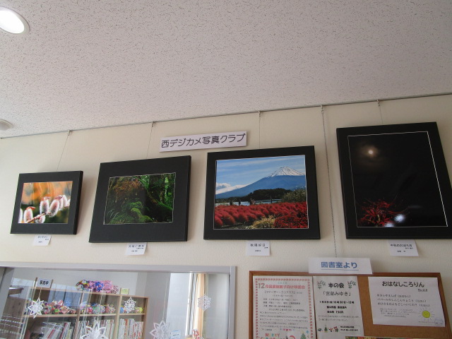 展示202012-3