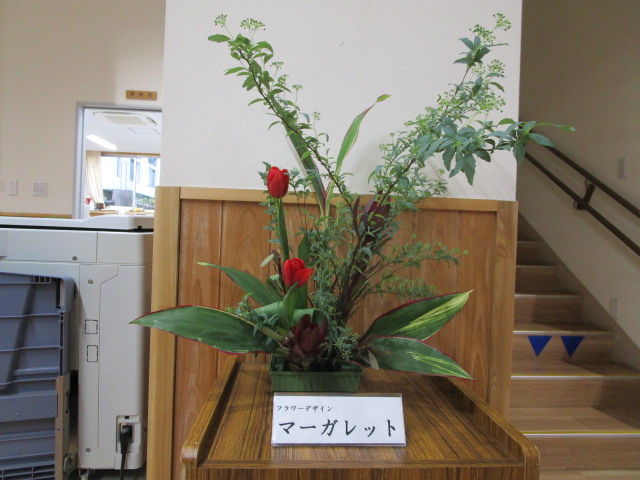 マーガレット202403-1