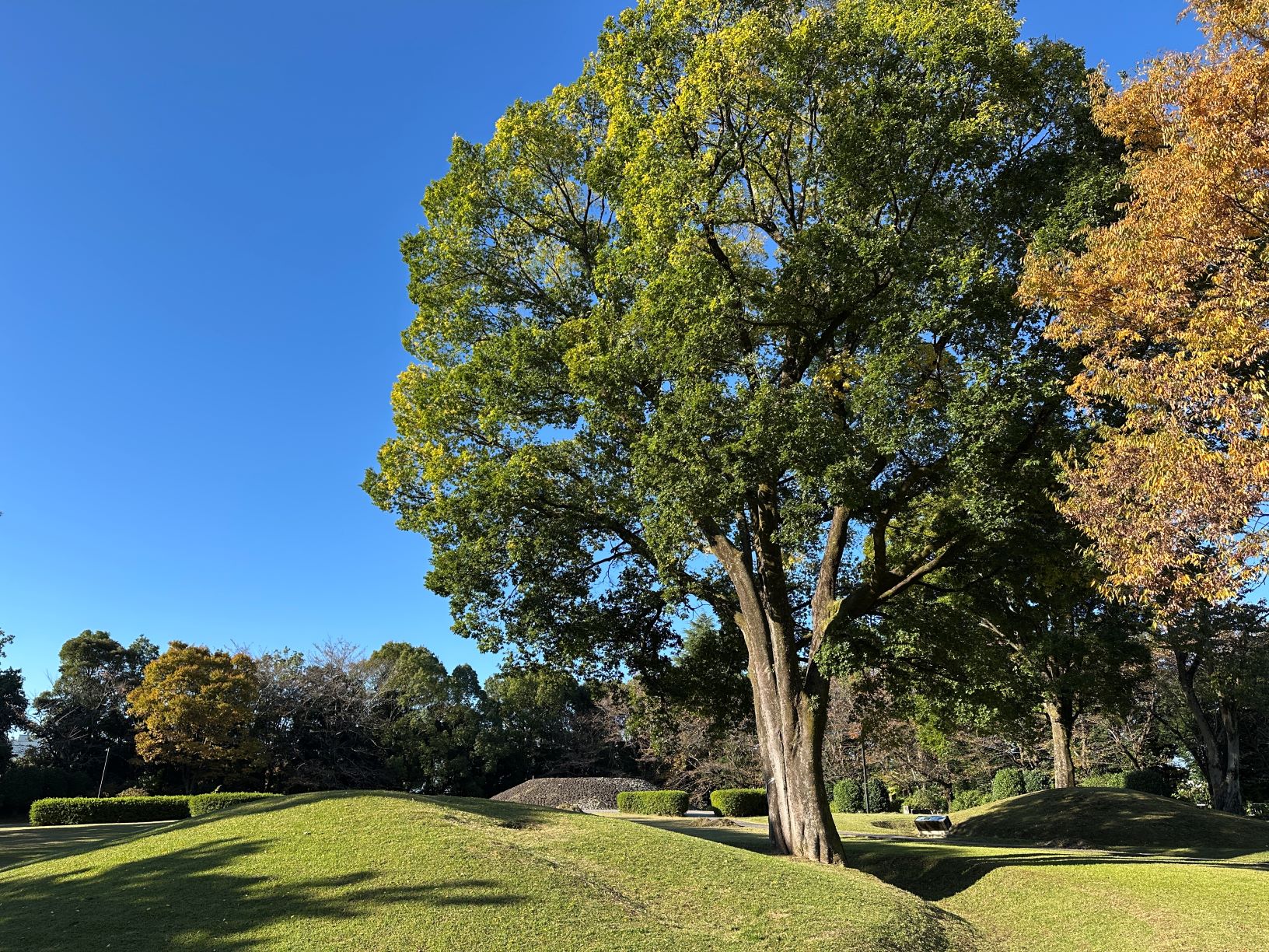 古墳公園