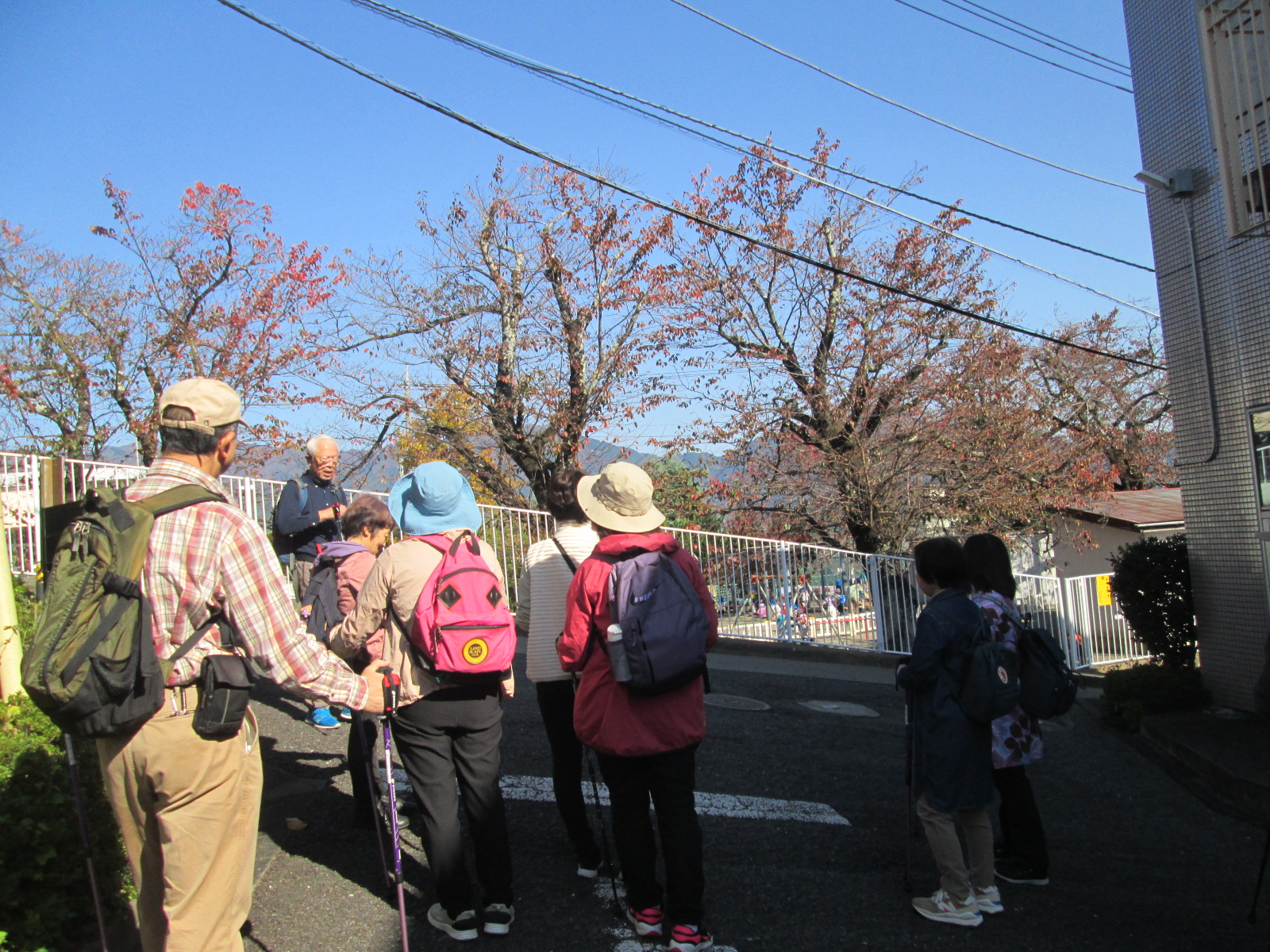 写真：ポールウォーキング