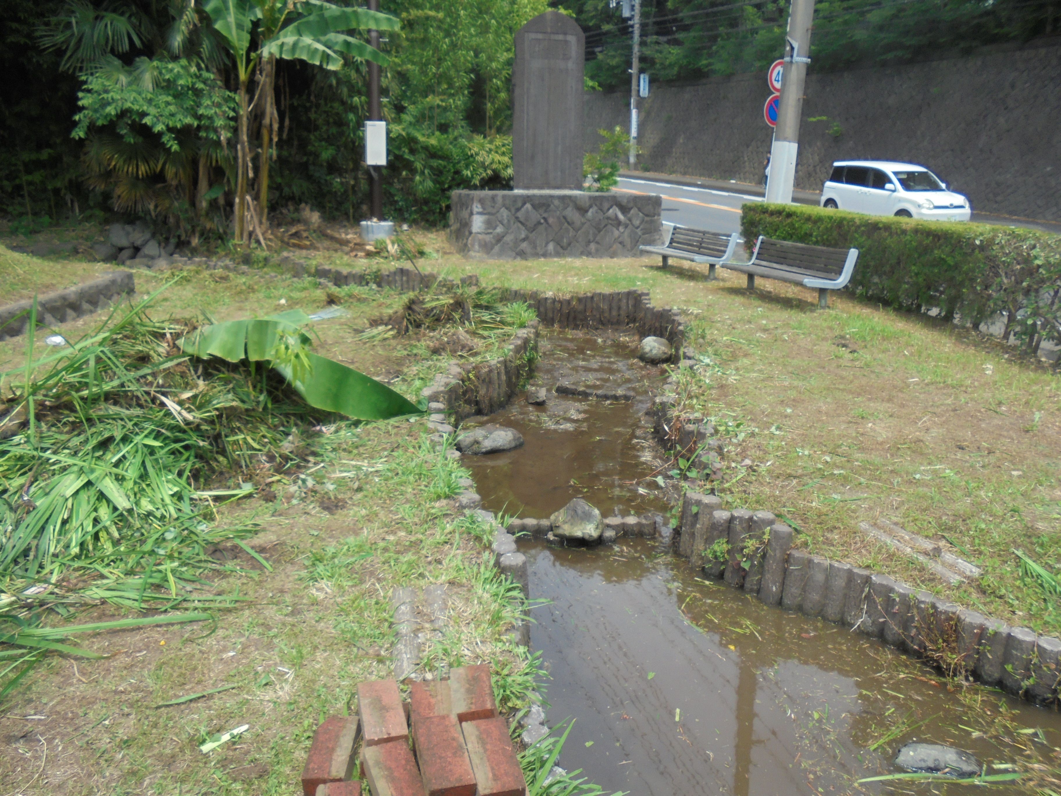 除草前の様子