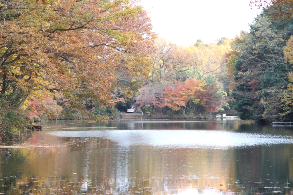 震生湖