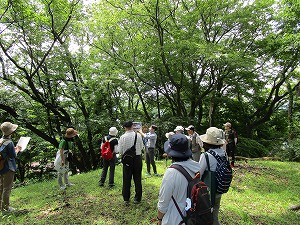R6大根地区史跡巡り3