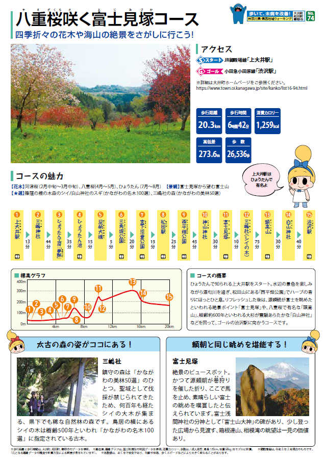 八重桜咲く富士見塚コースチラシ