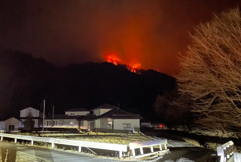 岩手県大船渡市での林野火災の様子