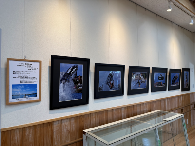 デジフォト秦野