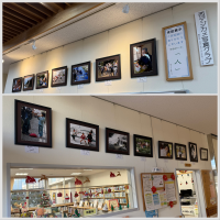 西デジカメ写真クラブ