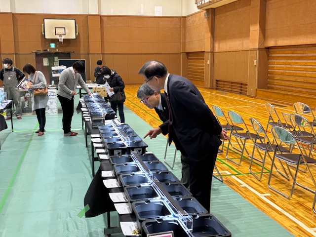 国際メダカ品評会